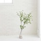 ե꡼ ɥĥĥ 饹 H100cm տʪ  ¤ ʪ ƥꥢ PRGR-0763 GREENPARK ꡼ѡ 