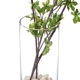 ե꡼ ɥĥĥ 饹 H100cm տʪ  ¤ ʪ ƥꥢ PRGR-0763 GREENPARK ꡼ѡ 