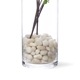 ե꡼ ɥĥĥ 饹 H100cm տʪ  ¤ ʪ ƥꥢ PRGR-0763 GREENPARK ꡼ѡ 