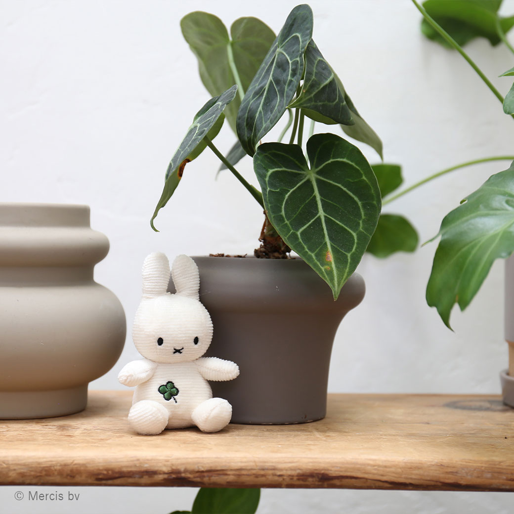 �ߥåե��� �̤������ �����ۥ���� 10cm �� �쥤��ܡ� ���塼��å� �������С� �ɽ� ������� ���襤�� ���å� �ץ쥼��� �����ǥ���� �ܥ�ȥ�ȥ��� ��åԥ��б� 