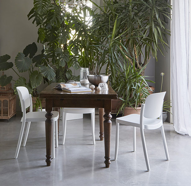   ػ   ξ ե ե ƥ饹 쥹ȥ ļ ơ  ݥץԥ ԥåĥ1 PIAZZA1 ̵ 