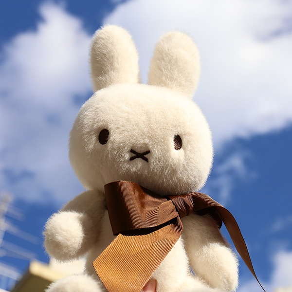 �ߥåե��� ���å� 70��ǯ �̤������ miffy ���̸��� ��� 70th 32cm �ܥ�ȥ�ȥ��� bontontoys �֥饦�� ���ե� �ܥå��� ������ ưʪ ����饯���� ��ư ��åԥ��б� 