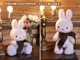 �ߥåե��� ���å� 70��ǯ �̤������ miffy ���̸��� ��� 70th 32cm �ܥ�ȥ�ȥ��� bontontoys �֥饦�� ���ե� �ܥå��� ������ ưʪ ����饯���� ��ư ��åԥ��б� 