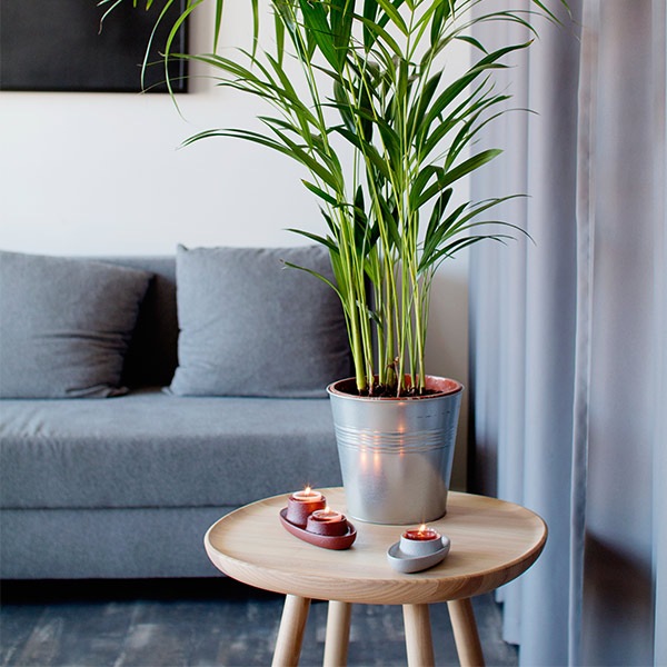 ơ֥ ɥơ֥ ݥơ֥ ʥȥơ֥ ߥ˥ơ֥ ʥ֥ɥơ֥ ơ֥ å  ȥ˥ Naive Side Table A ̵ 