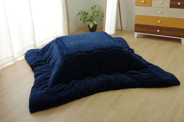  Ĺ ̵ եͥ С֥ ݤñ 17եIT ɽ ܥ꡼ 205205cm ݥ   ե ҥ 1380000002875 ̵ 