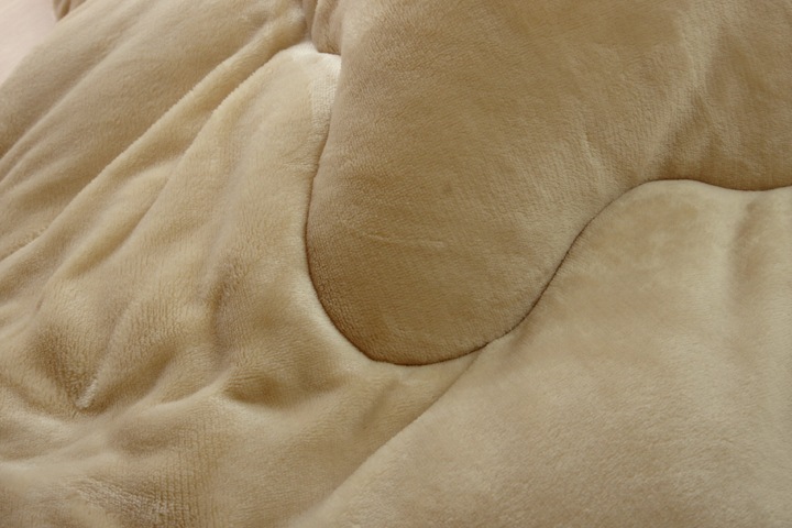  Ĺ ̵ եͥ С֥ ݤñ 17եIT ɽ ܥ꡼ 205205cm ݥ   ե ҥ 1380000002875 ̵ 