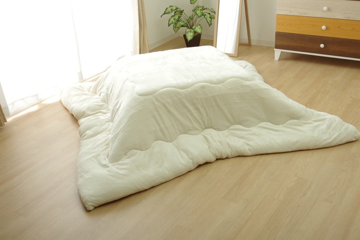  Ĺ ̵ եͥ С֥ ݤñ 17եIT ɽ ܥ꡼ 205205cm ݥ   ե ҥ 1380000002875 ̵ 