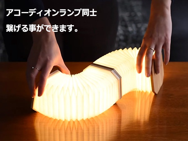 ǥ饤 LED 饤  饤 LED   ȥɥ ѥ ż  ǥ GINGKO 󥳡 Х֡ GNK040004 åԥб 