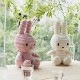 �ߥåե��� ���ʥåե��� �̤������ �����ǥ���� 33cm 25cm ������� ���襤�� ����饯���� ���å� ������ �� ������ ��� �Ҷ� �ץ쥼��� �ܥ�ȥ�ȥ��� ����̵�� 