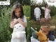 �ߥåե��� ���ʥåե��� �̤������ �����ǥ���� 33cm 25cm ������� ���襤�� ����饯���� ���å� ������ �� ������ ��� �Ҷ� �ץ쥼��� �ܥ�ȥ�ȥ��� ����̵�� 