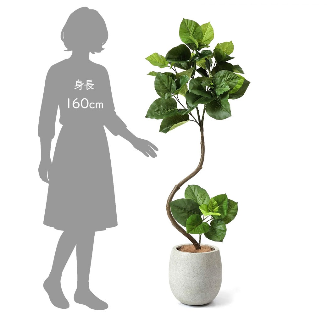 �ե��������꡼�� ���տ�ʪ �͹����տ�ʪ ¤�� ��� �ĥ����ȥ���٥顼�� ���å��ݥå� ȭ�դ� 154cm �ե����� ��ʪ ������� ȭ���å� �� PRGR-1269 GREENPARK 