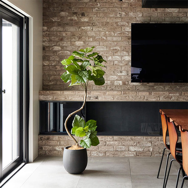 �ե��������꡼�� ���տ�ʪ �͹����տ�ʪ ¤�� ��� �ĥ����ȥ���٥顼�� ���å��ݥå� ȭ�դ� 154cm �ե����� ��ʪ ������� ȭ���å� �� PRGR-1269 GREENPARK 