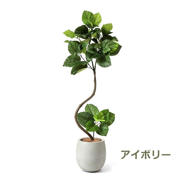 �ե��������꡼�� ���տ�ʪ �͹����տ�ʪ ¤�� ��� �ĥ����ȥ���٥顼�� ���å��ݥå� ȭ�դ� 154cm �ե����� ��ʪ ������� ȭ���å� �� PRGR-1269 GREENPARK 