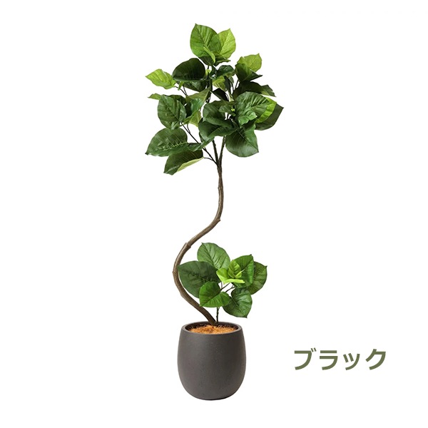 �ե��������꡼�� ���տ�ʪ �͹����տ�ʪ ¤�� ��� �ĥ����ȥ���٥顼�� ���å��ݥå� ȭ�դ� 154cm �ե����� ��ʪ ������� ȭ���å� �� PRGR-1269 GREENPARK 