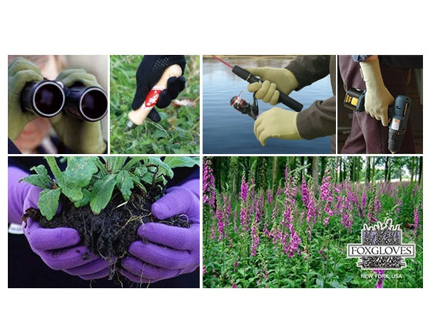 FOXGLOVES եå  ꥸʥ ǥ˥  ǥ  ȥɥ  ڱ   S M  ߤ  Ĺ UVù åԥб 
