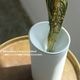 graf 1616 arita japan ͭ�ľ� CMA Conus for Small Tall ���� �����ޤ� ���� �ִ� �ե� �١��� �ۥ磻�� �� ����ץ� ������� ����̵�� ��åԥ��б� 