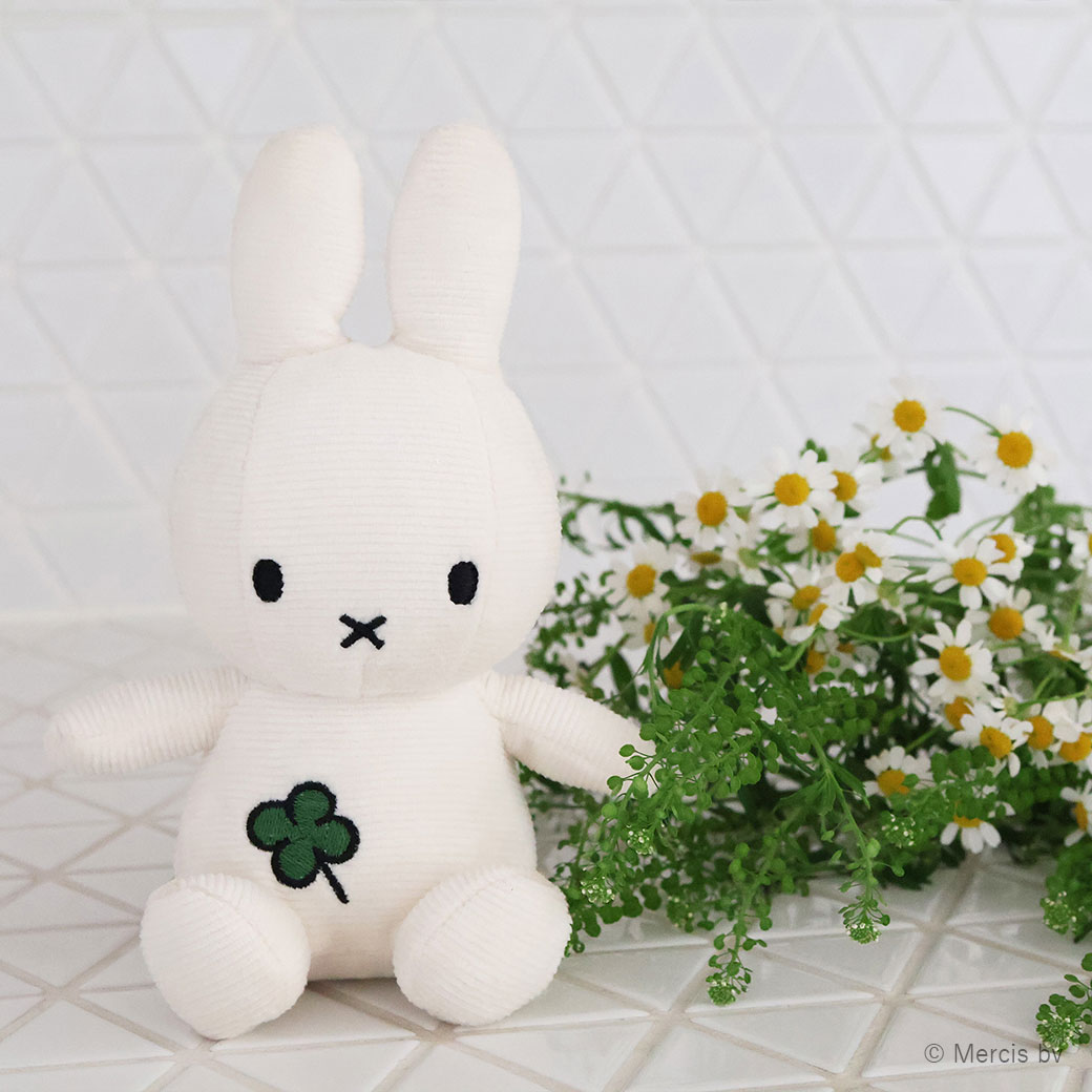 �ߥåե��� �̤������ 18cm �����ǥ���� ������� ���襤�� ���å� �쥤��ܡ� �������С� �� ���� �ɽ� ��� �Ҷ� �֥롼�� ������ 3�аʾ� �ܥ�ȥ�ȥ��� ����̵�� ��åԥ��б� 