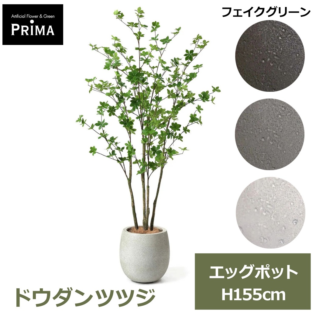 �ɥ�����ĥĥ� �ե����� ���꡼�� �緿 �͹����տ�ʪ ¤�� �� �ޤ�� ����ƥꥢ���꡼�� ���տ�ʪ ������� �������� �͵� ȭ�դ� ��ʪ PRGR 1241 GREENPARK 
