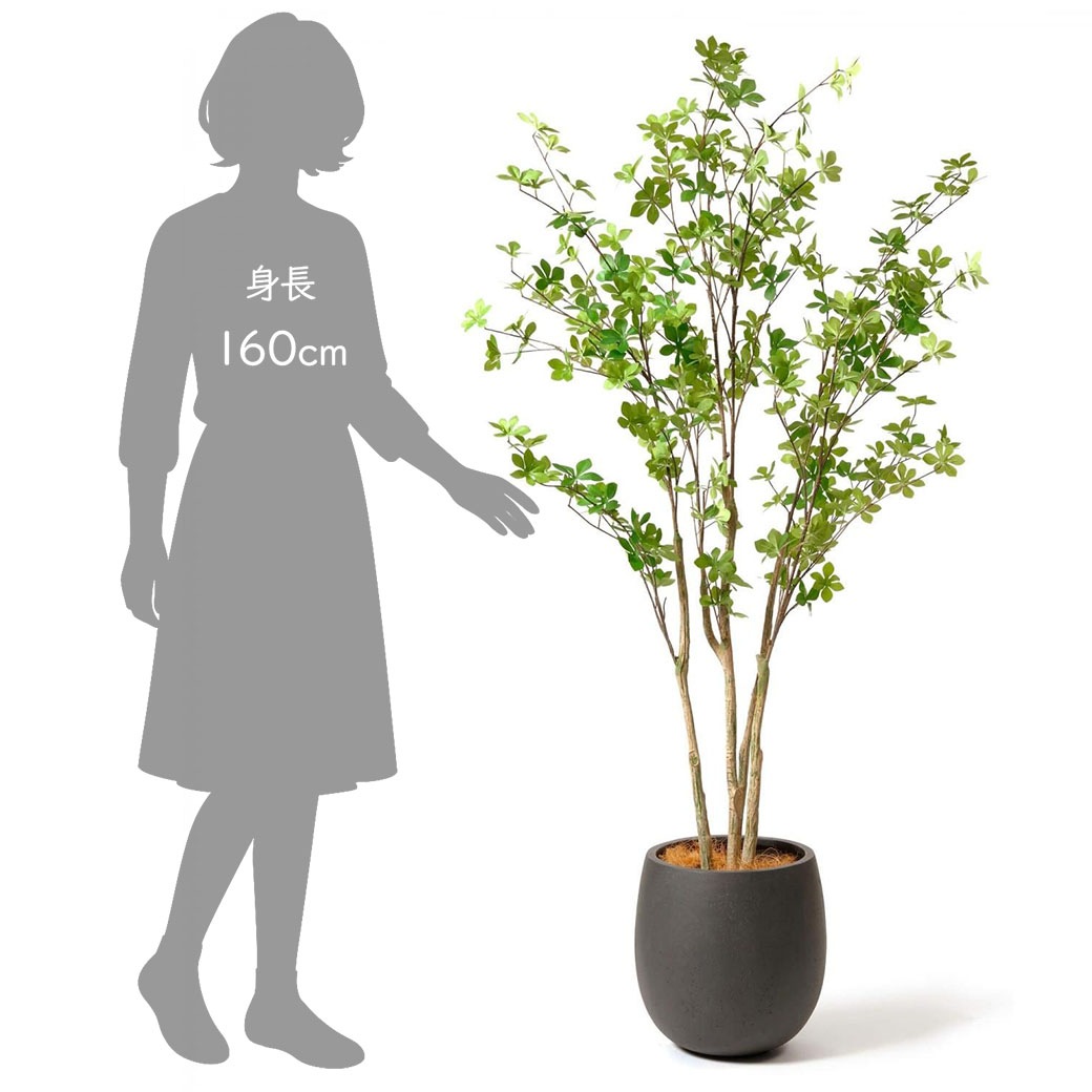 �ե��������꡼�� ���տ�ʪ �͹����տ�ʪ ¤�� ��� �ɥ�����ĥĥ� ���å��ݥå� ȭ�դ� 160cm �ե����� ��ʪ ������� ȭ���å� �͵� PRGR-1241 GREENPARK 