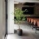 ե꡼ տʪ ͸տʪ ¤  ɥĥĥ åݥå ȭդ 160cm ե ʪ  ȭå ͵ PRGR-1241 GREENPARK 