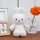 �ߥåե��� �̤������ 18cm �ե����� ������� �դ�դ� �⤳�⤳ ��� ���襤�� ���å� ������ ������ �Ҷ� ���ˤ� �ץ쥼��� 3�аʾ� �ܥ�ȥ�ȥ��� BTT-085 ����̵�� ��åԥ��б� 