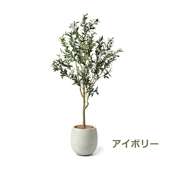 �ե��������꡼�� ���տ�ʪ �͹����տ�ʪ ¤�� ��� ���꡼�� ���å��ݥå� ȭ�դ� 155cm �ե����� ��ʪ ������� ȭ���å� ������Ƥ��� PRGR-1261 GREENPARK 