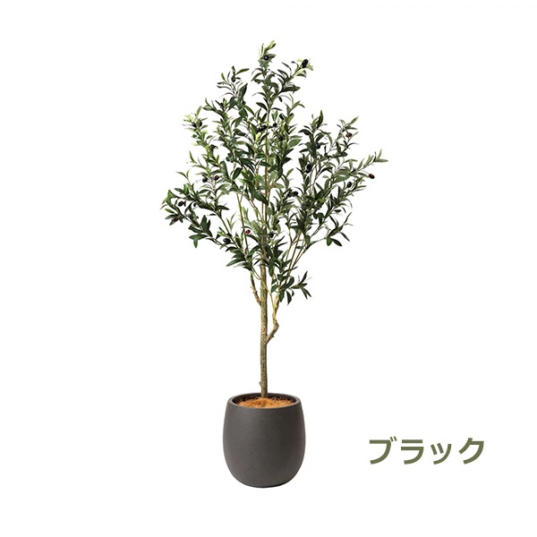 �ե��������꡼�� ���տ�ʪ �͹����տ�ʪ ¤�� ��� ���꡼�� ���å��ݥå� ȭ�դ� 155cm �ե����� ��ʪ ������� ȭ���å� ������Ƥ��� PRGR-1261 GREENPARK 