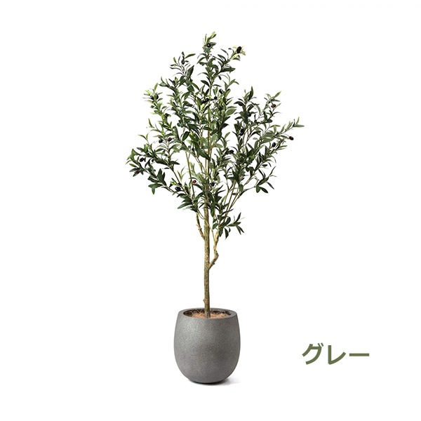 �ե��������꡼�� ���տ�ʪ �͹����տ�ʪ ¤�� ��� ���꡼�� ���å��ݥå� ȭ�դ� 155cm �ե����� ��ʪ ������� ȭ���å� ������Ƥ��� PRGR-1261 GREENPARK 