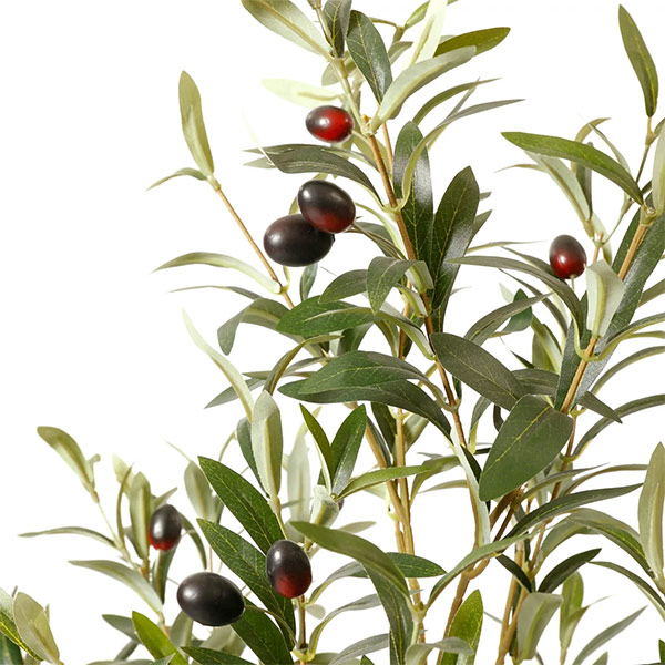 �ե��������꡼�� ���տ�ʪ �͹����տ�ʪ ¤�� ��� ���꡼�� ���å��ݥå� ȭ�դ� 155cm �ե����� ��ʪ ������� ȭ���å� ������Ƥ��� PRGR-1261 GREENPARK 