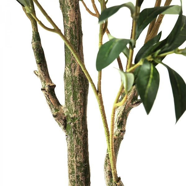 �ե��������꡼�� ���տ�ʪ �͹����տ�ʪ ¤�� ��� ���꡼�� ���å��ݥå� ȭ�դ� 155cm �ե����� ��ʪ ������� ȭ���å� ������Ƥ��� PRGR-1261 GREENPARK 