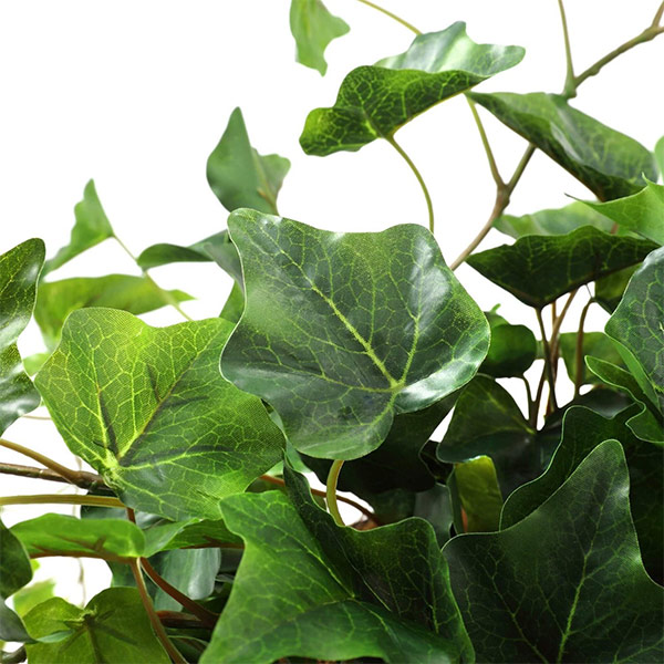 �ե��������꡼�� ���տ�ʪ �͹����տ�ʪ ¤�� ��� �����ӡ� �ơ��֥�ѡ��ơ������ ������� ����ƥꥢ ȭ ���� ��ʪ ���ˤ� �� ������GREENPARK PRGR-1457 