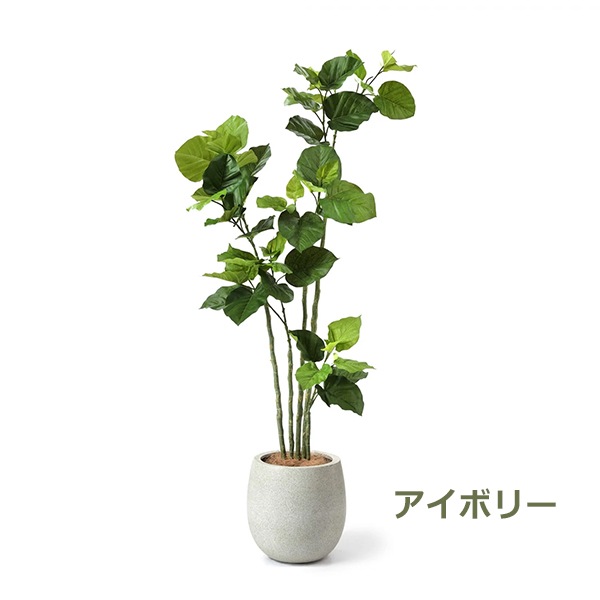 �ե��������꡼�� ���տ�ʪ �͹����տ�ʪ ¤�� ��� ����٥顼�� ���å��ݥå� ȭ�դ� 155cm �ե����� ��ʪ ������� ȭ���åȥ���ƥꥢ PRGR-1266 GREENPARK 