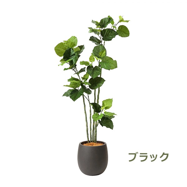 �ե��������꡼�� ���տ�ʪ �͹����տ�ʪ ¤�� ��� ����٥顼�� ���å��ݥå� ȭ�դ� 155cm �ե����� ��ʪ ������� ȭ���åȥ���ƥꥢ PRGR-1266 GREENPARK 