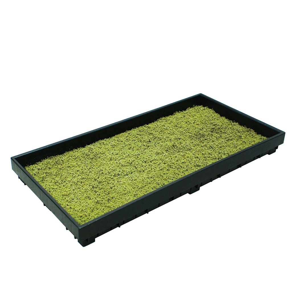 �� �� �� 58��28cm 1�ȥ졼 ���� ���ʥ��� �������� ��� sunmoss ����⥹ �����ɥ��С� ���� ��ʪ Ⱦ���� ���� ��Ǯ �Ѵ� ���� ��̳�� ι�� �ۥƥ� ����̵�� 