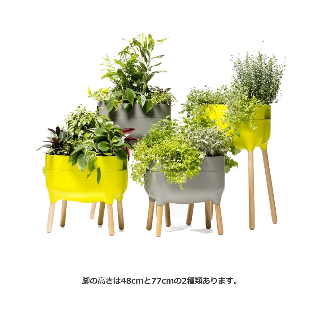 ��ư���ץ�󥿡� 48cm ���� ���弰 ����ȭ ������� �쥤���ɥ٥å� ������� ��ñ �鿴�� ���տ�ʪ �����ڱ� ���� ��� �٥��� ���硼�� �ץ饹�ƥ��� 