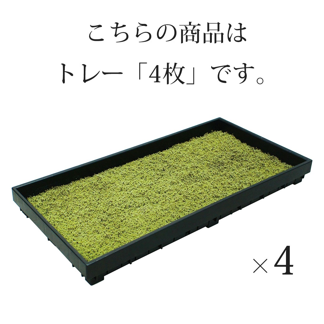 �� �� �� 58��28cm 4�ȥ졼 ���� ���ʥ��� �������� ��� sunmoss ����⥹ �����ɥ��С� ���� ��ʪ Ⱦ���� ���� ��Ǯ �Ѵ� ���� ��̳�� ι�� �ۥƥ� ����̵�� 