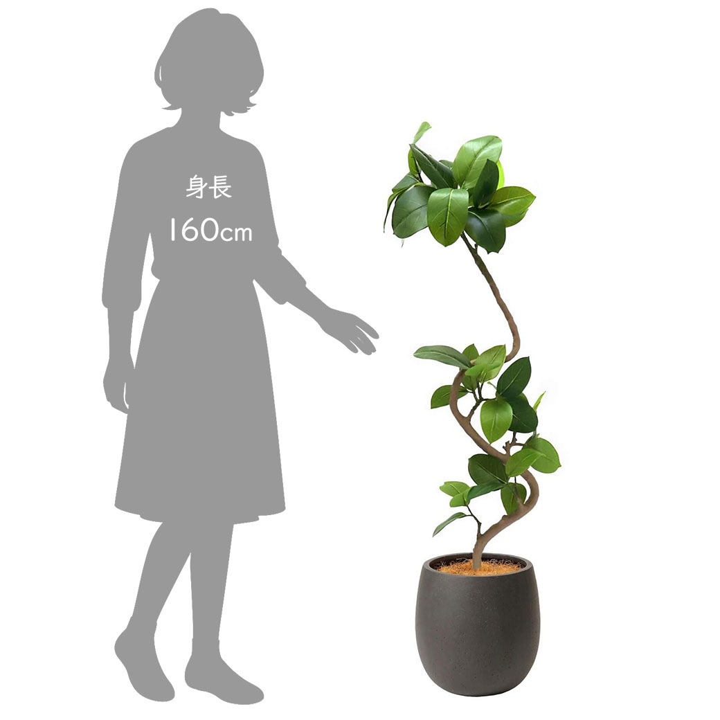 �ե��������꡼�� ���տ�ʪ �͹����տ�ʪ ¤�� ��� �ե����� ����ƥ��� ���å��ݥå� ȭ�դ� 138cm �ե����� ��ʪ ������� ȭ���åȿ͵� PRGR-1378 GREENPARK 