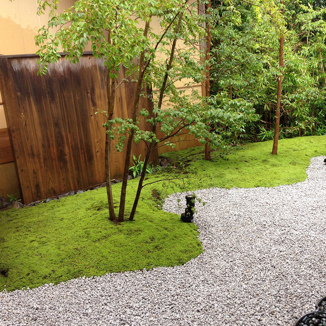 �� �� �� 58��28cm 10�ȥ졼 ���� ���ʥ��� �������� ��� sunmoss ����⥹ �����ɥ��С� ���� ��ʪ Ⱦ���� ���� ��Ǯ �Ѵ� ���� ��̳�� ι�� �ۥƥ� ����̵�� 