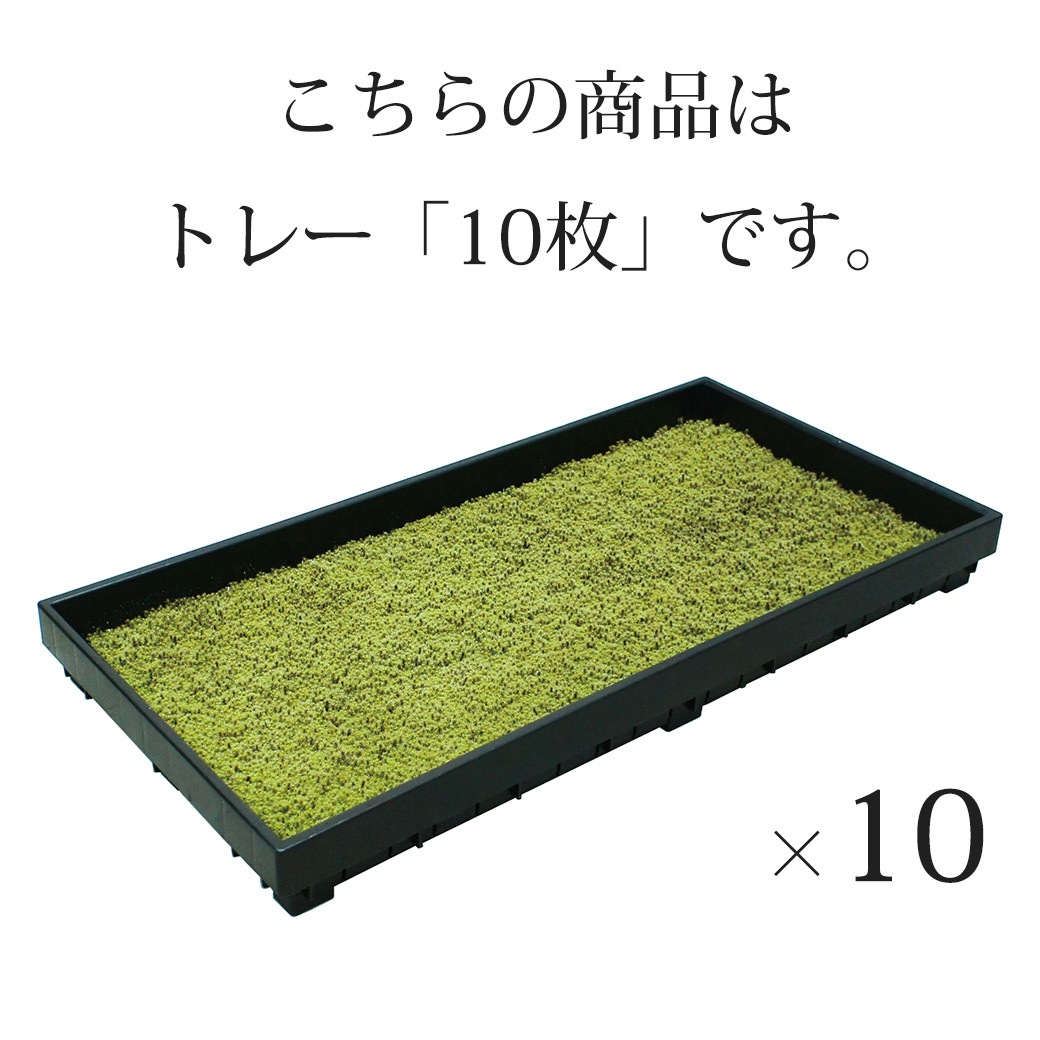 �� �� �� 58��28cm 10�ȥ졼 ���� ���ʥ��� �������� ��� sunmoss ����⥹ �����ɥ��С� ���� ��ʪ Ⱦ���� ���� ��Ǯ �Ѵ� ���� ��̳�� ι�� �ۥƥ� ����̵�� 