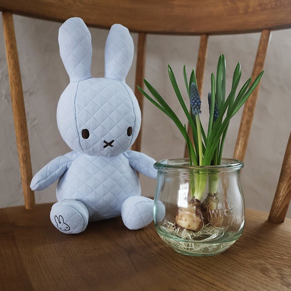 �ߥåե��� �̤������ ����ƥ��� ���ե� �ܥå��� Ȣ�դ� ���å� ������� ���襤�� ��� ����ƥꥢ �ץ쥼��� ��åԥ��б� 3�аʾ� 23cm BTT-049 ����̵�� 