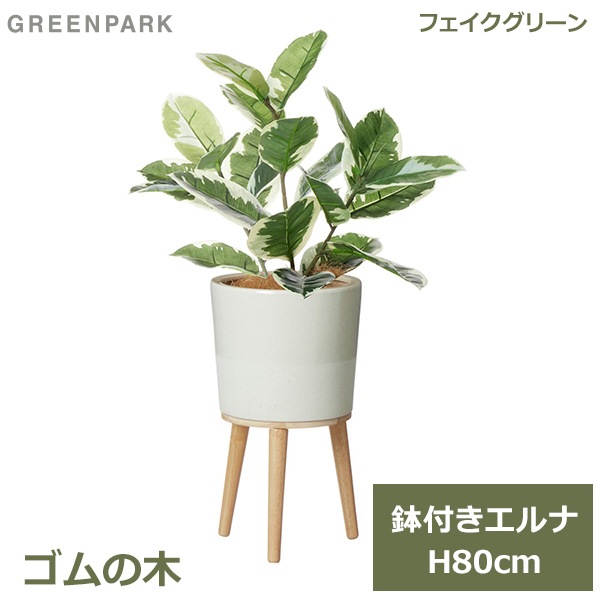�ե��������꡼�� ���տ�ʪ �ե����� �͹����տ�ʪ ¤�� ��ʪ ����ƥꥢ �ꥢ�� ������� ������� ����� 80cm ȭ�դ� ȭ���å� ���� �� PRGR-1520 GREENPARK 