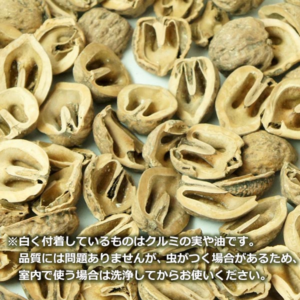 乾燥くるみ樹皮、2kg セット。　7-013 乾燥くるみ樹皮、2kg セット。 7-013 くるみの樹皮 2Kg