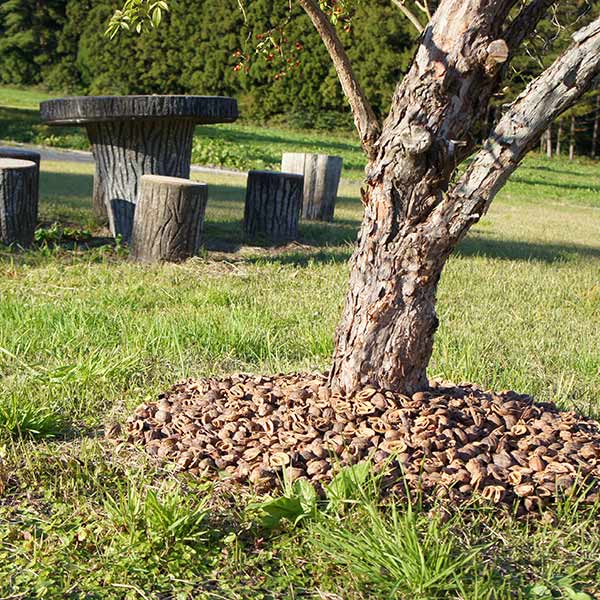 ����� �γ� 3kg ��9��åȥ� ����̵�� ���ܹ� ����� ���� �ޥ���󥰺� �С������å� �����ǥ˥� ��ݻ�� �ץ�󥿡� �����ɻ� �������к� ���� �����ٱ� ����̵�� 