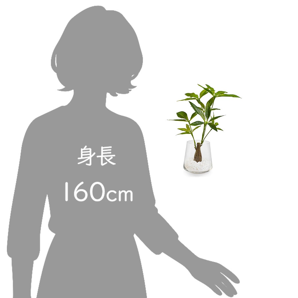 �ե��������꡼�� ���տ�ʪ �͹����տ�ʪ ¤�� ��� �ѥ��� �ơ��֥륰�꡼�� ���饹 �ȥ�ڥ����� ����ƥꥢ ������� ����󥸥��� GREENPARK PRGR-1017 ����̵�� 