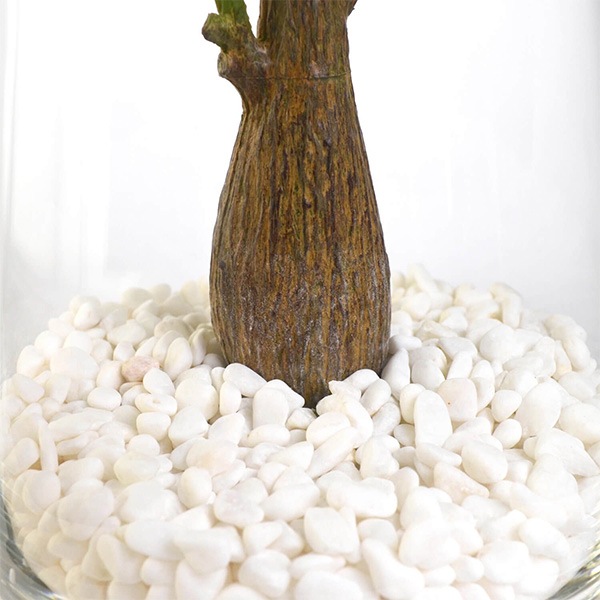 �ե��������꡼�� ���տ�ʪ �͹����տ�ʪ ¤�� ��� �ѥ��� �ơ��֥륰�꡼�� ���饹 �ȥ�ڥ����� ����ƥꥢ ������� ����󥸥��� GREENPARK PRGR-1017 ����̵�� 