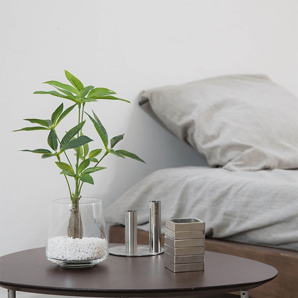 �ե��������꡼�� ���տ�ʪ �͹����տ�ʪ ¤�� ��� �ѥ��� �ơ��֥륰�꡼�� ���饹 �ȥ�ڥ����� ����ƥꥢ ������� ����󥸥��� GREENPARK PRGR-1017 ����̵�� 