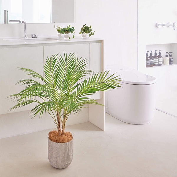 �ե��������꡼�� ���տ�ʪ �͹����տ�ʪ ¤�� ��� �ѡ���꡼�� ���٥ꥹ�ݥå� H80cm ���� �䥷 ���꡼�� ������� ��ʪ PRGR-1236 ���꡼��ѡ��� GREENPARK ����̵�� 