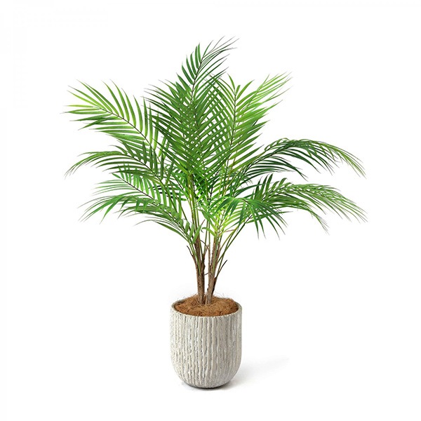 �ե��������꡼�� ���տ�ʪ �͹����տ�ʪ ¤�� ��� �ѡ���꡼�� ���٥ꥹ�ݥå� H80cm ���� �䥷 ���꡼�� ������� ��ʪ PRGR-1236 ���꡼��ѡ��� GREENPARK ����̵�� 