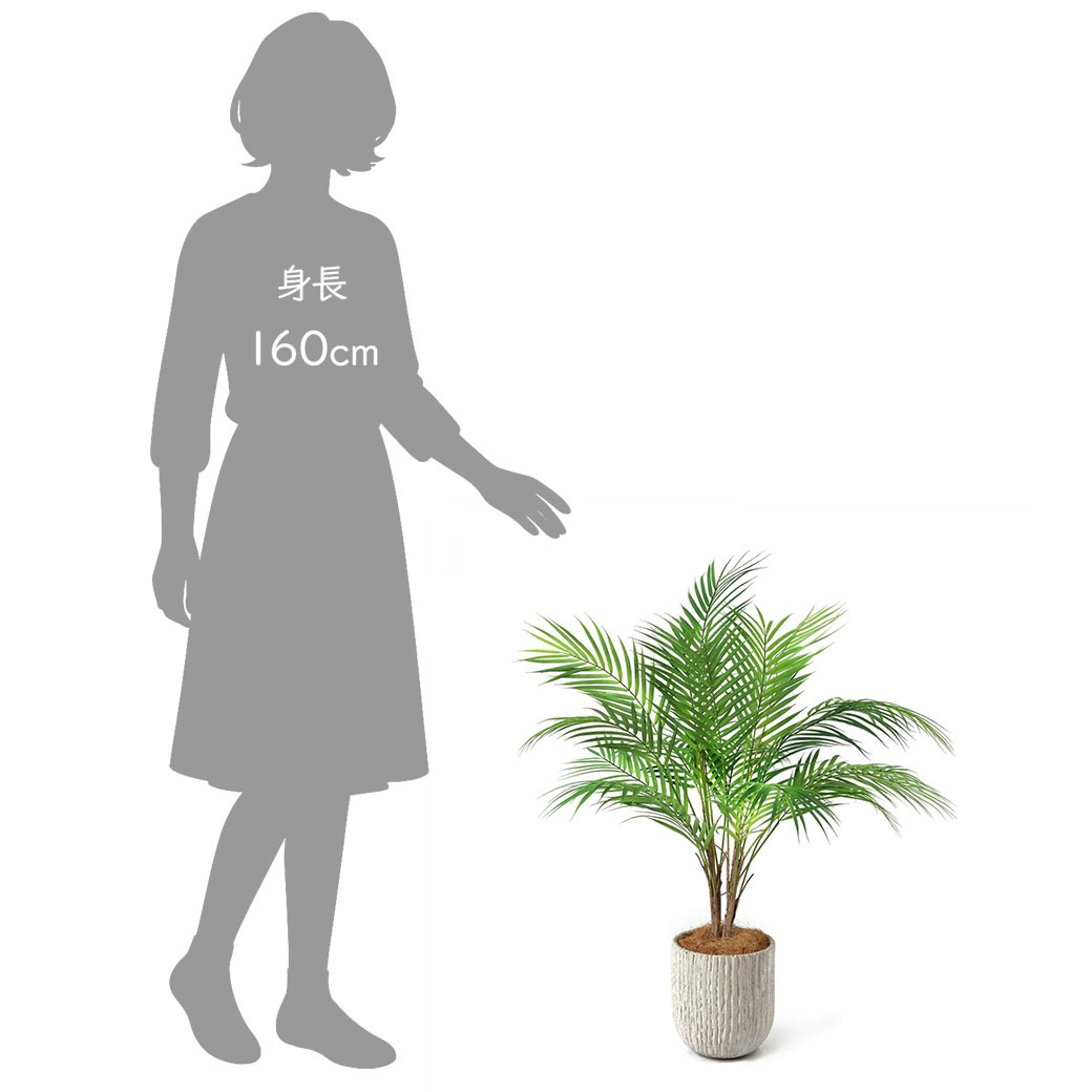 �ե��������꡼�� ���տ�ʪ �͹����տ�ʪ ¤�� ��� �ѡ���꡼�� ���٥ꥹ�ݥå� H80cm ���� �䥷 ���꡼�� ������� ��ʪ PRGR-1236 ���꡼��ѡ��� GREENPARK ����̵�� 