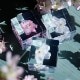 ������ �� ���� ��ʪ �� ɸ�� ����ƥꥢ ��ʪ ��ޥ����� ���� ���� ��� sola cube ���饭�塼�� ���ե� �ץ쥼��� ����ץ� ���� ���� ������� ����̵�� ��åԥ��б� 